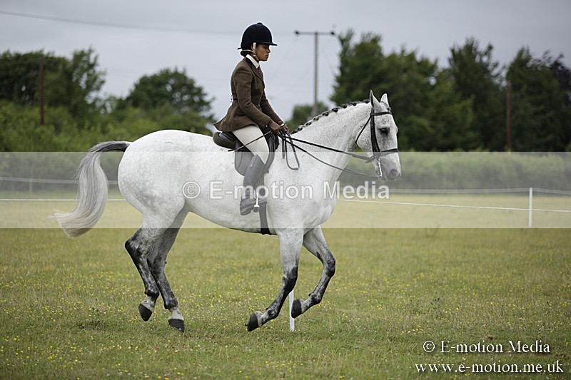 BVR160717-768 - Ring 1 BVRC Show 16/07/17