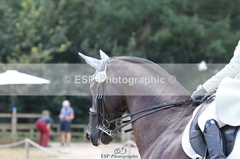 250809A-133743-03582 - 093-Tracey.NelsonCharisma.DD