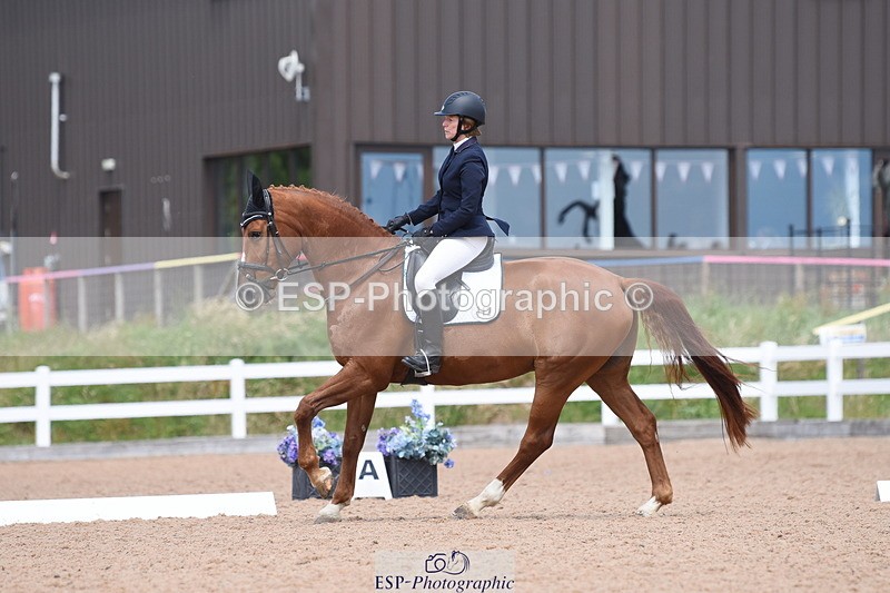 230702A-141102-10527 - Cls 5,6+7 Novice 27+30, Elementary 44