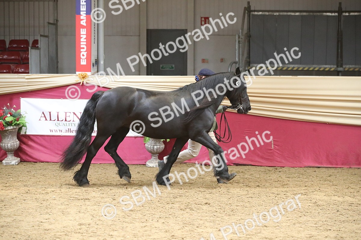 SBM_05546 - Class 9R - Regional IH Pre-Vet