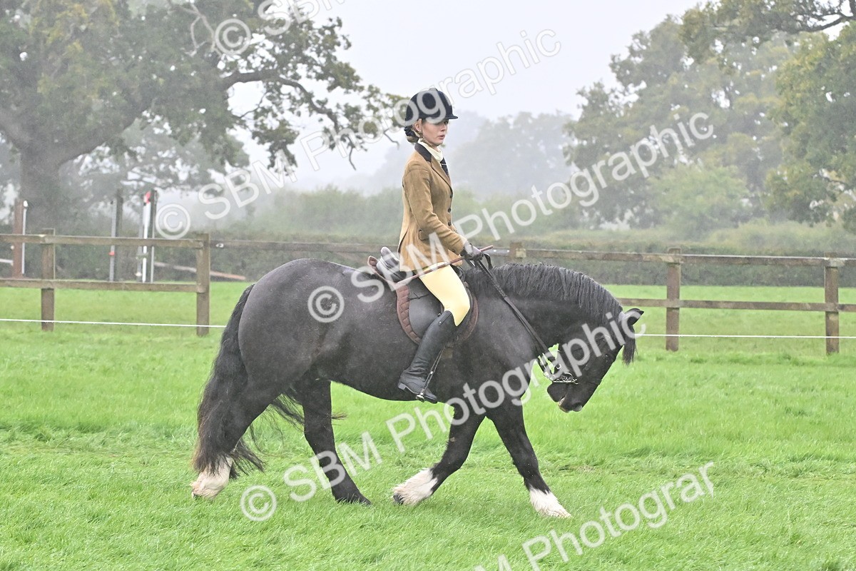 SBM_72408 - S43 - Ridden Equitation Best Rider