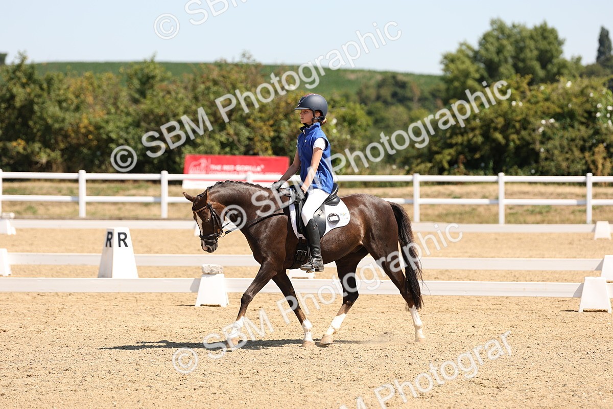 SBM_001186 - Intro 2