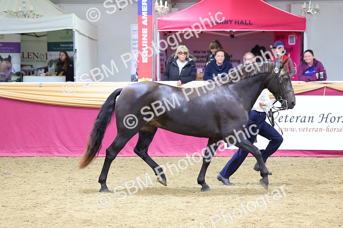 SBM_22804 - Class 903 - Supreme Final - IH Pre Vet