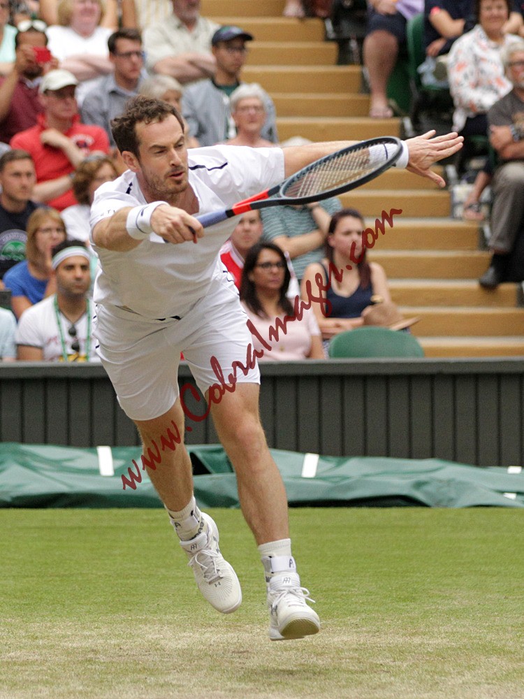 AF0I0150 - Wimbledon