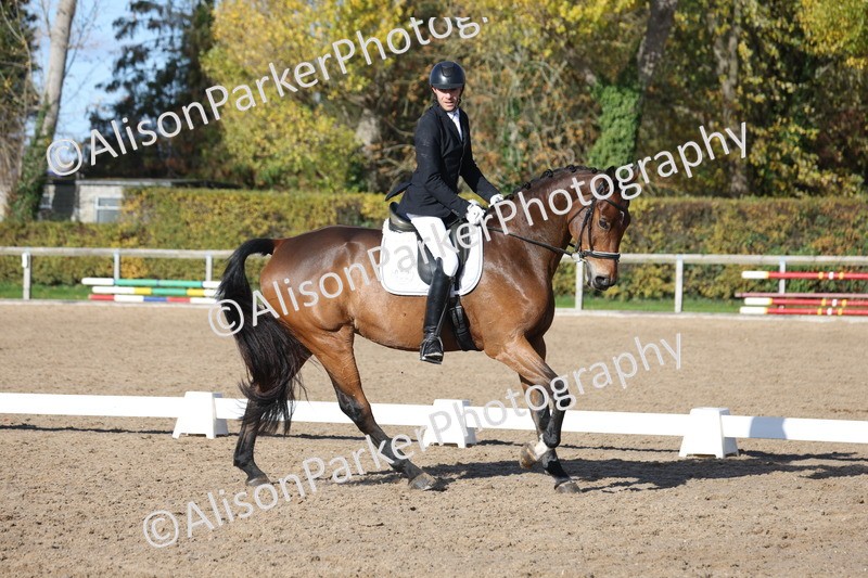 20251102-0657 - Class 4 - Novice 6