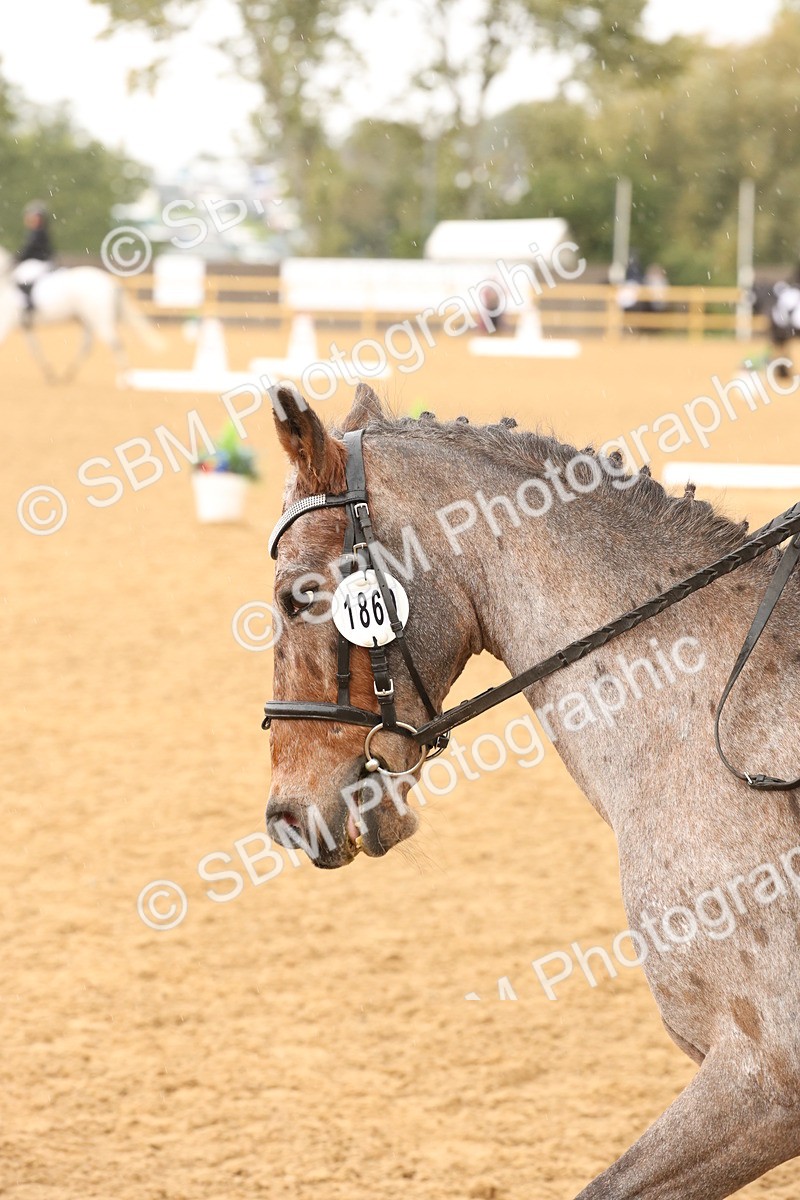 SBM_44127 - D6 - Small Tour Championship Intro 4