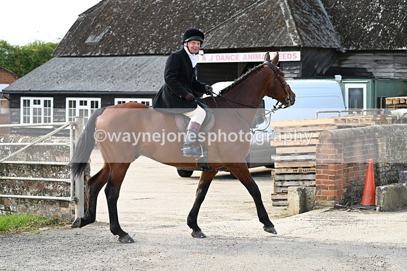 WJ7_9972 - Walk Home