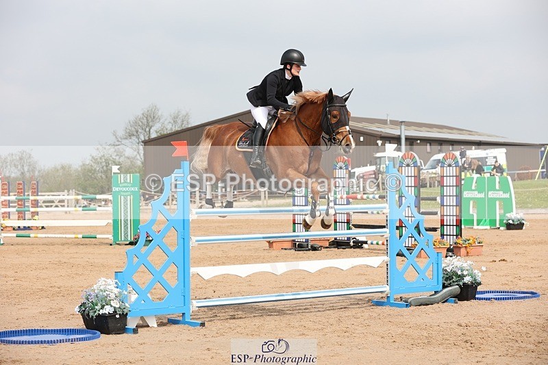 250424-110429-03379 - Cls 33 Young Horse 7yr old