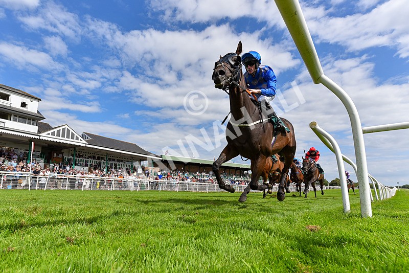 060824-Race 3-Myboymax-2-2 - Race 3