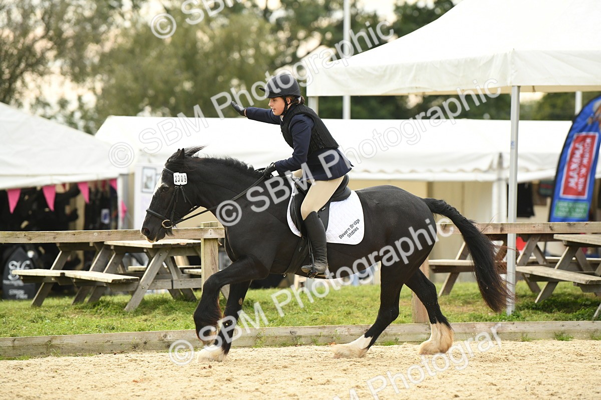 SBM_75756 - Supreme Championship
