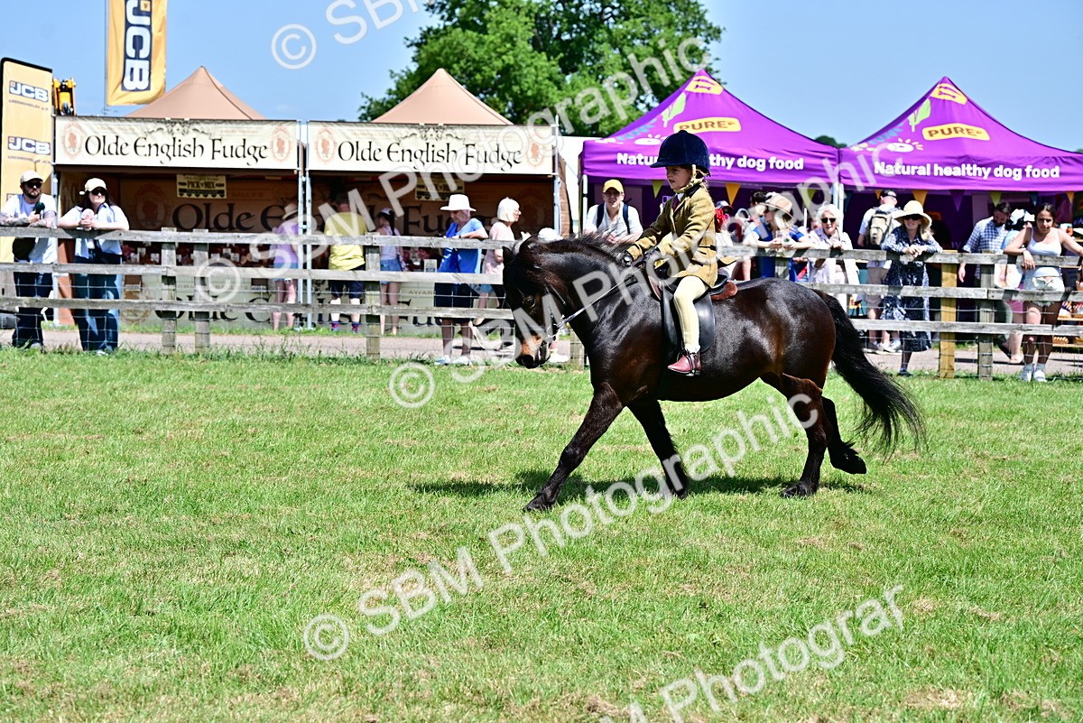 SBM_06103 - Class 59-60 - TSR M&M  Lear Rein and First Ridden Amateur of the year