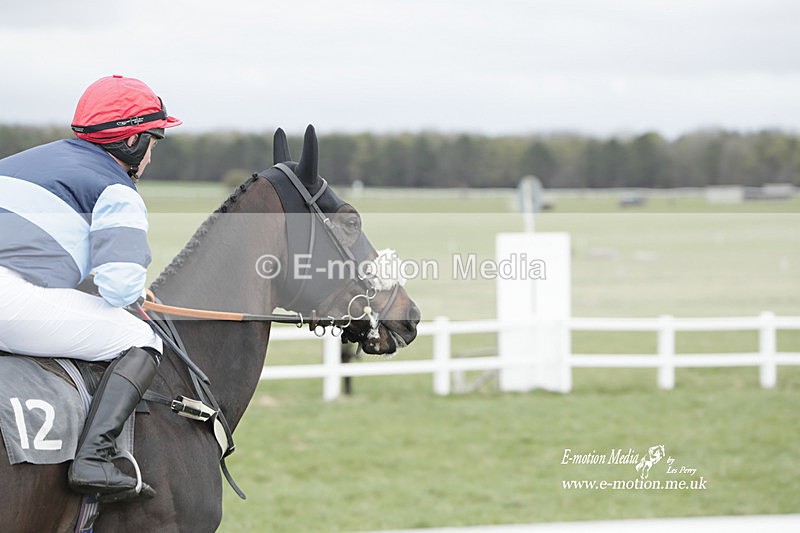 PtP 260323 0438 - New Forest Hounds Point-to-Point Larkhill 26/03/23
