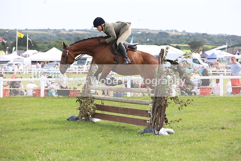 JPP_4205 - Class 25: Working Show Horse