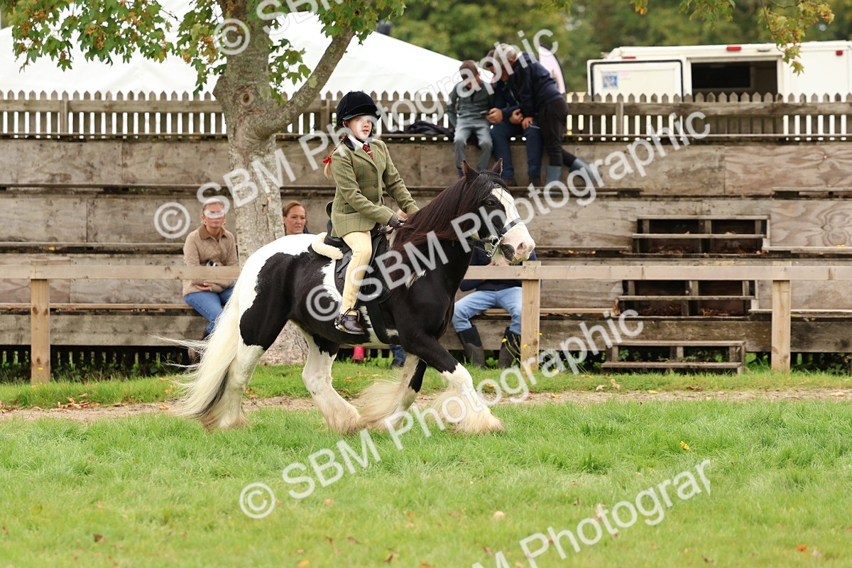 SBM_64567 - S58 - Coloured Pony Ridden