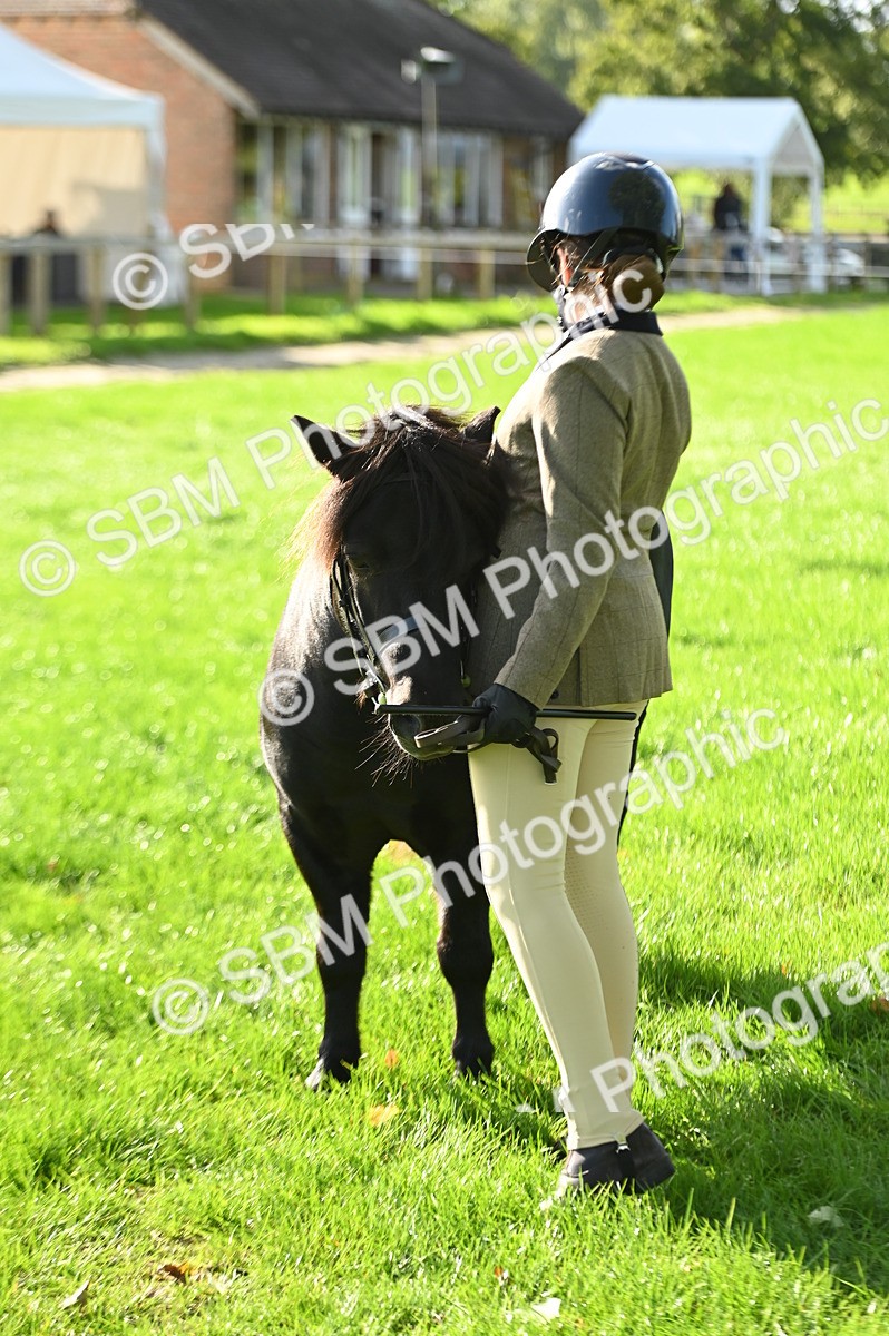 SBM_15879 - S1 - TSR in Hand Horse & Pony Showing