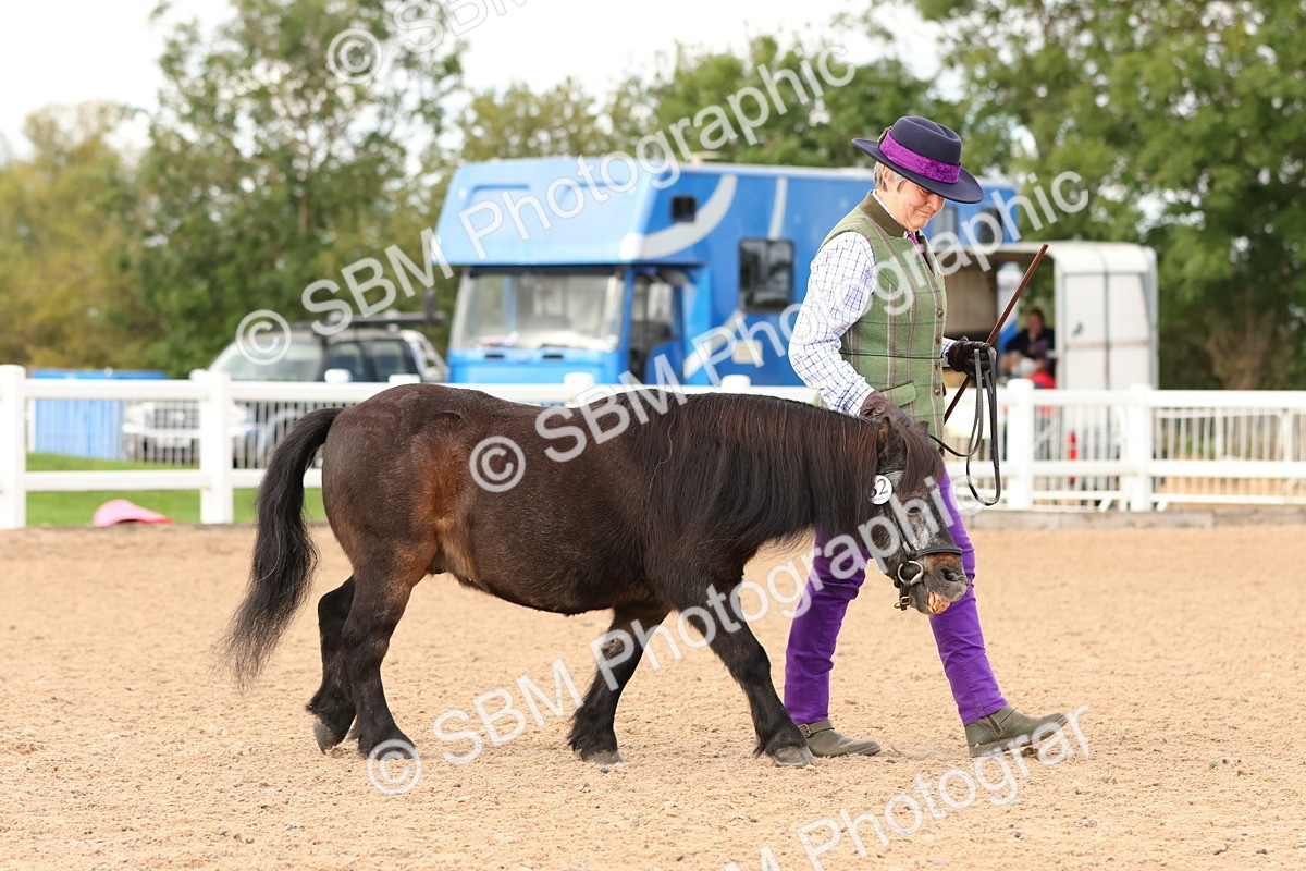SBM_10272 - Class 206 - IH Non Show Type Pony