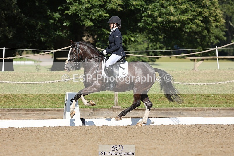 240719-094751-00268 - 262-Leia_Bower-Horeb_Llew