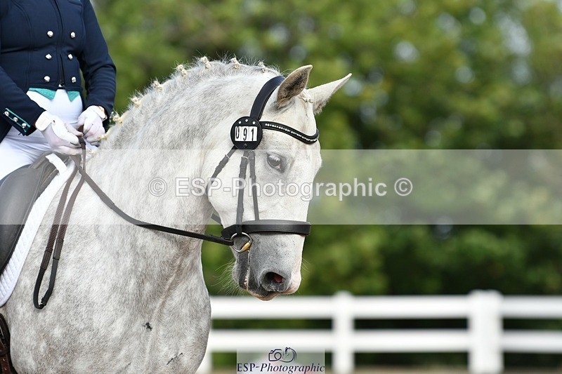 250906-091855-00310 - 091-Jenny.FolmanPluto.Barbana