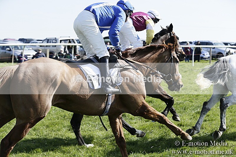 PtP 260317 116 - Mendip Farmers Point-to-Point Ston Easton 26/03/17