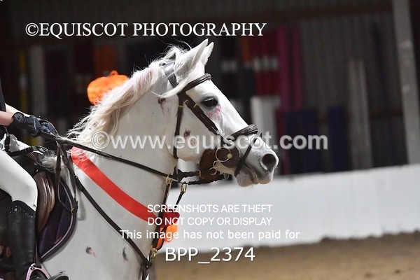 BPP_2374 - CLASS 4 TEAM SJ 70-75CM