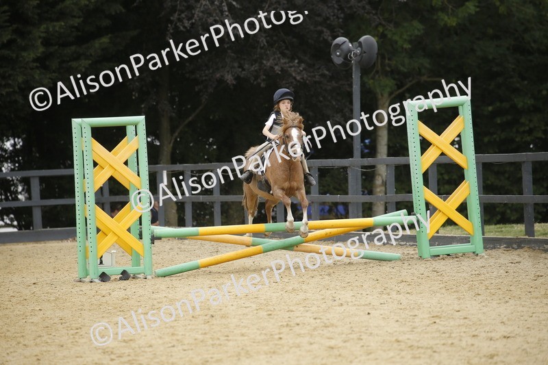 20250622-6129 - 60cm