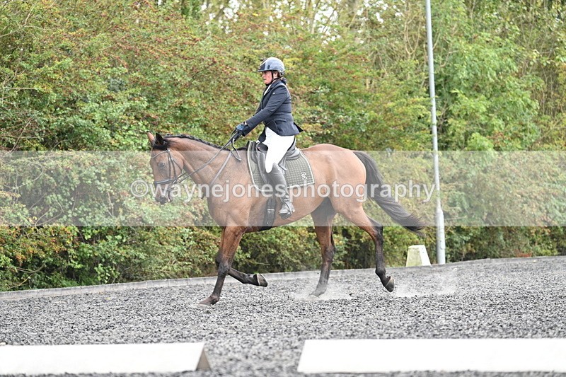 WJ7_6167 - Time 14:10 to 14:45