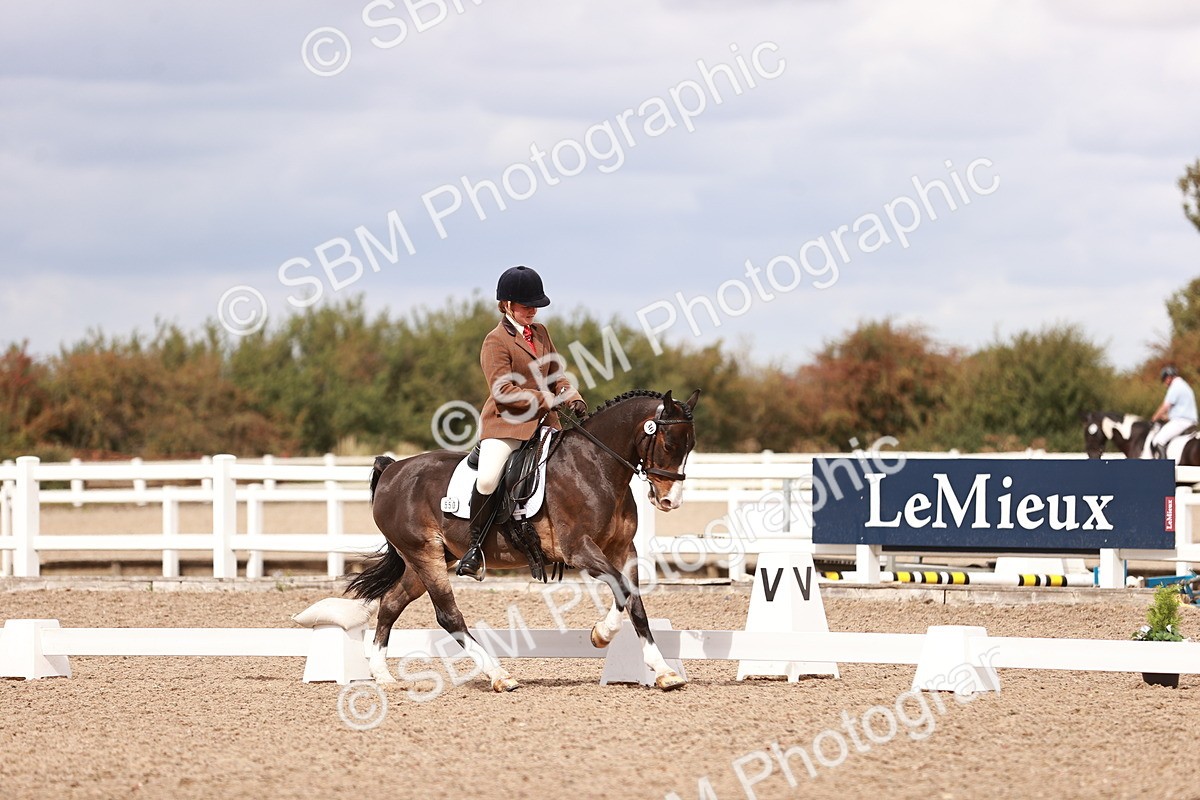 SBM_06234 - Class 37 - Novice 5