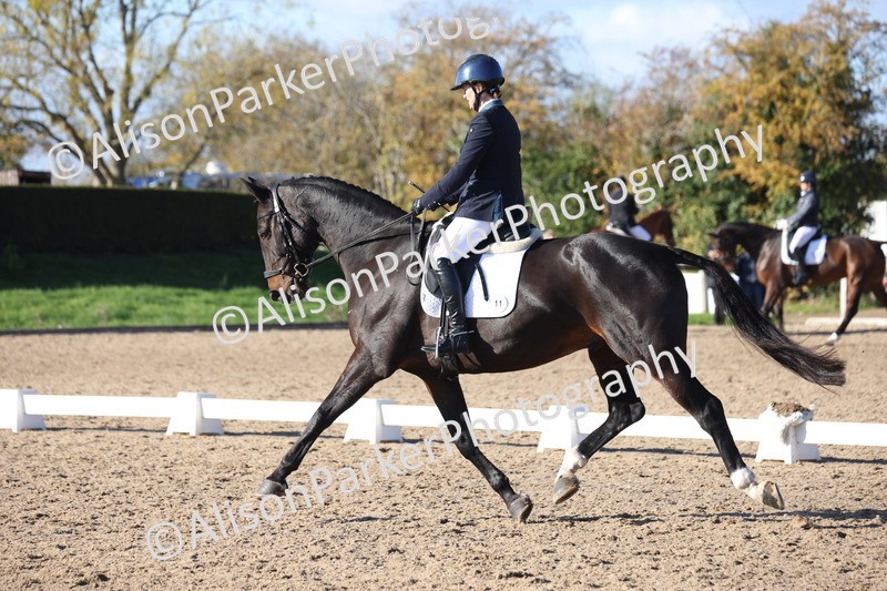 20251102-0970 - Class 5 - Elementary 5