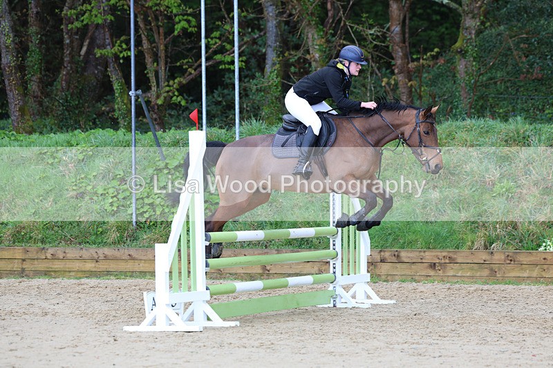 3E7A0596 - Class 4: Senior British Novice/90cm open
