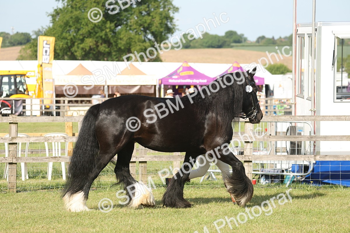 SBM_10334 - Class 33-38 - SSADL RIHS Qualifiers