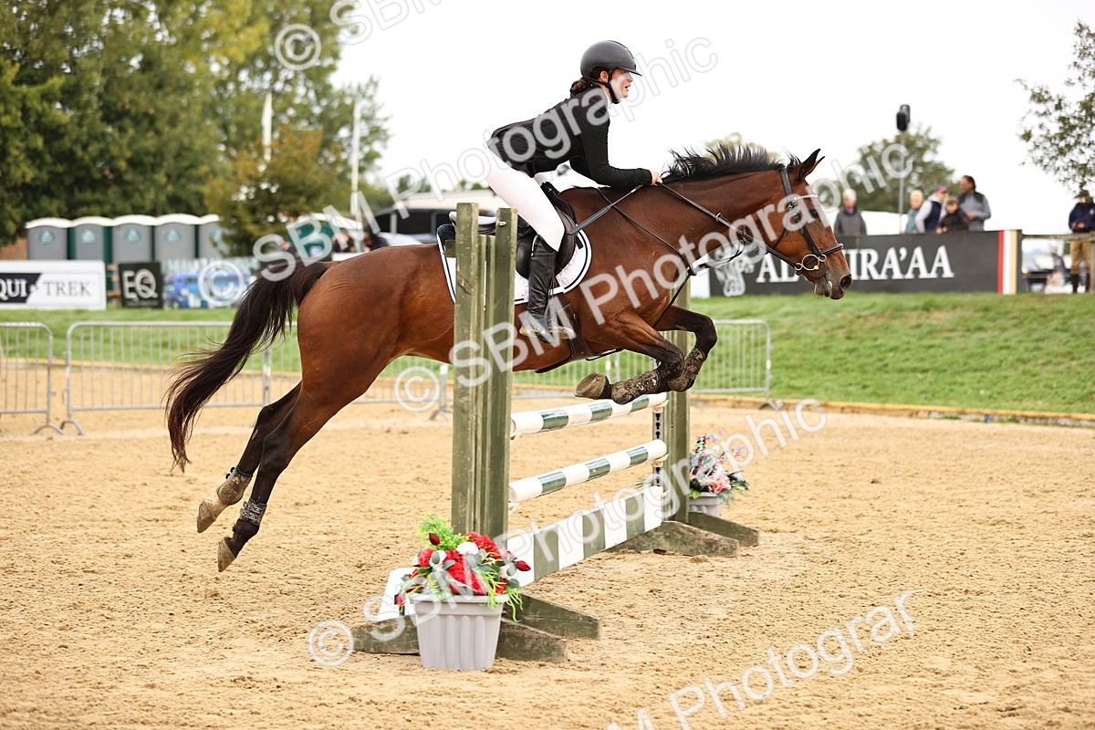 SBM_58326 - J41 - Grand Tour Horse & Pony 95cm