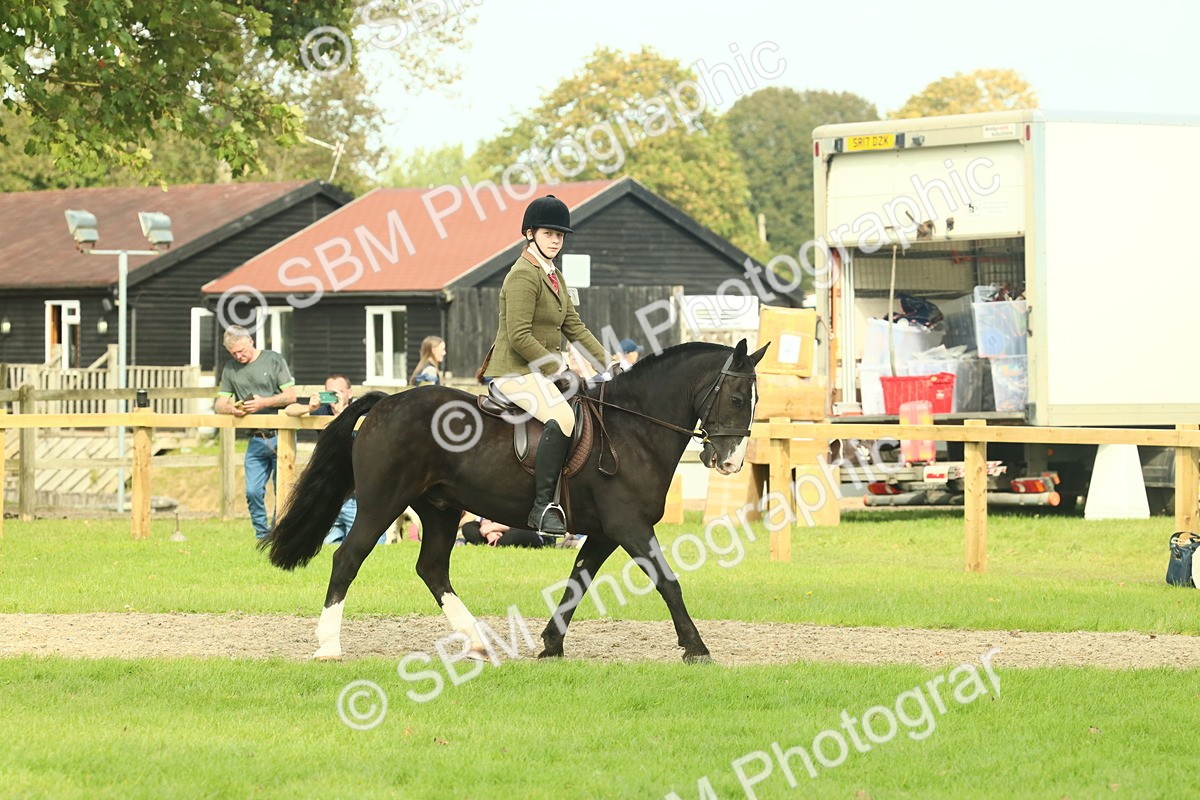 SBM_68179 - S58 - Mini Show Cob Ridden