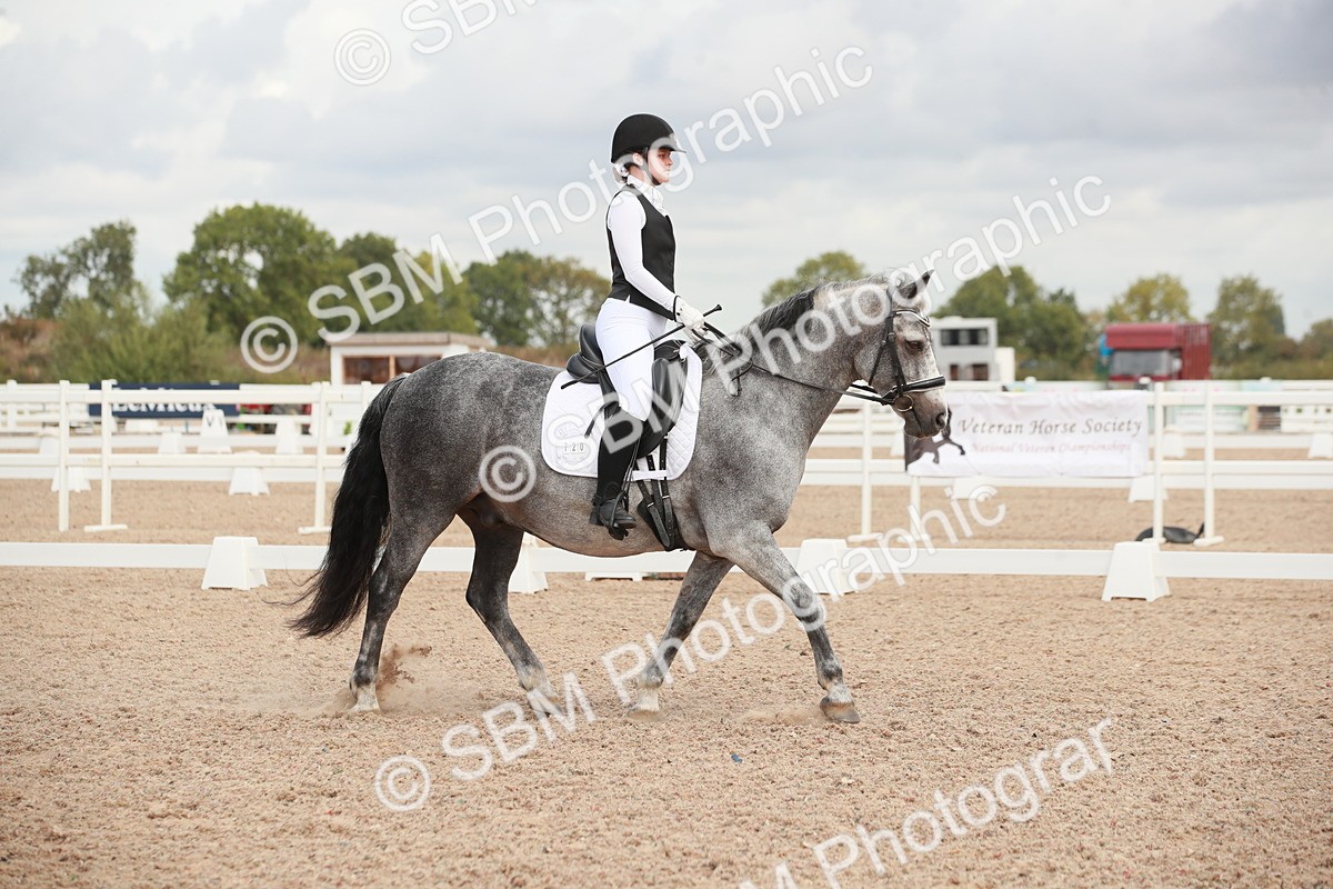 SBM_03921 - Class 31 - Prelim 1