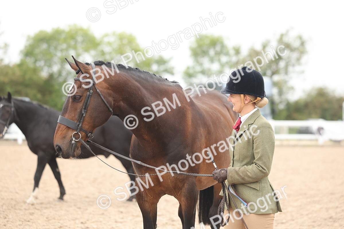 SBM_19895 - Class 318 - IH Part Bred Horse-Pony