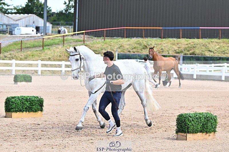 240718A-105254-01306 - Trot Up 12pm to 1pm