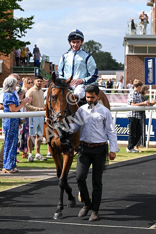 030824-Race 3-Alligator Alley-1693 - Race 3