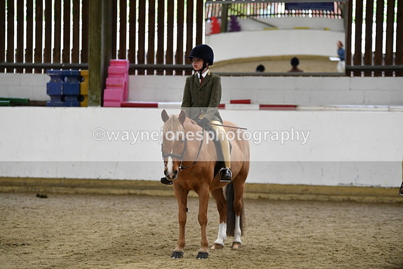 WJ5_7036 - Class 10 Childs Pony