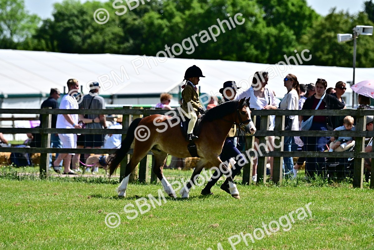 SBM_05750 - Class 59-60 - TSR M&M  Lear Rein and First Ridden Amateur of the year