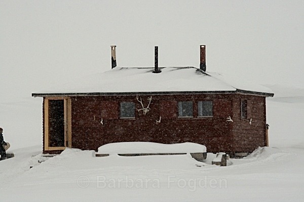 Bjonahamna 5361 - Winter in the daylight
