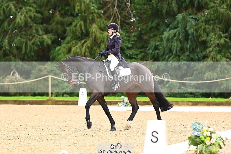 231020-155314-11980 - 217-CEFNPANT.IOLO-Katie.Thomas-DR