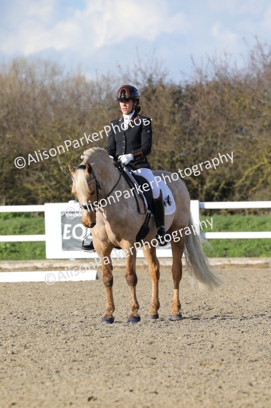 20260314-5818 - DR 7 - Elementary 1