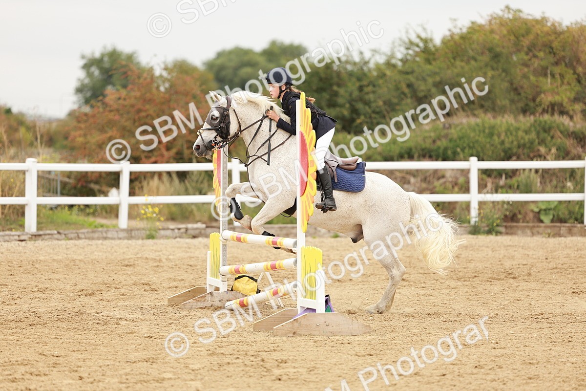 SBM_008334 - Class 5 - 80cm