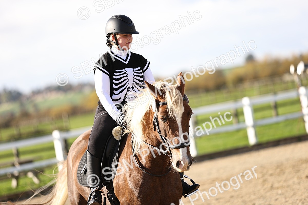 SBM_001306 - Class 2-4 - Intro 1 Intro 3