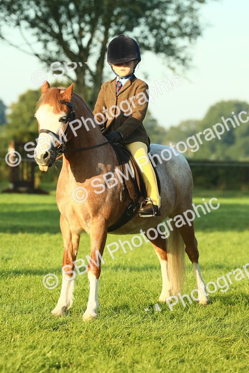 SBM_56625 - S36 - Starters Best Turnout