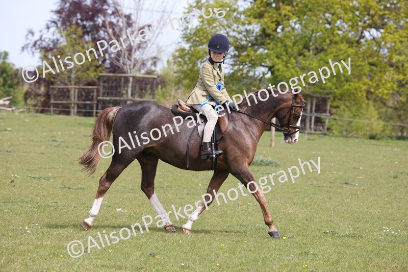 20260426-4088 - Small Pony Championship