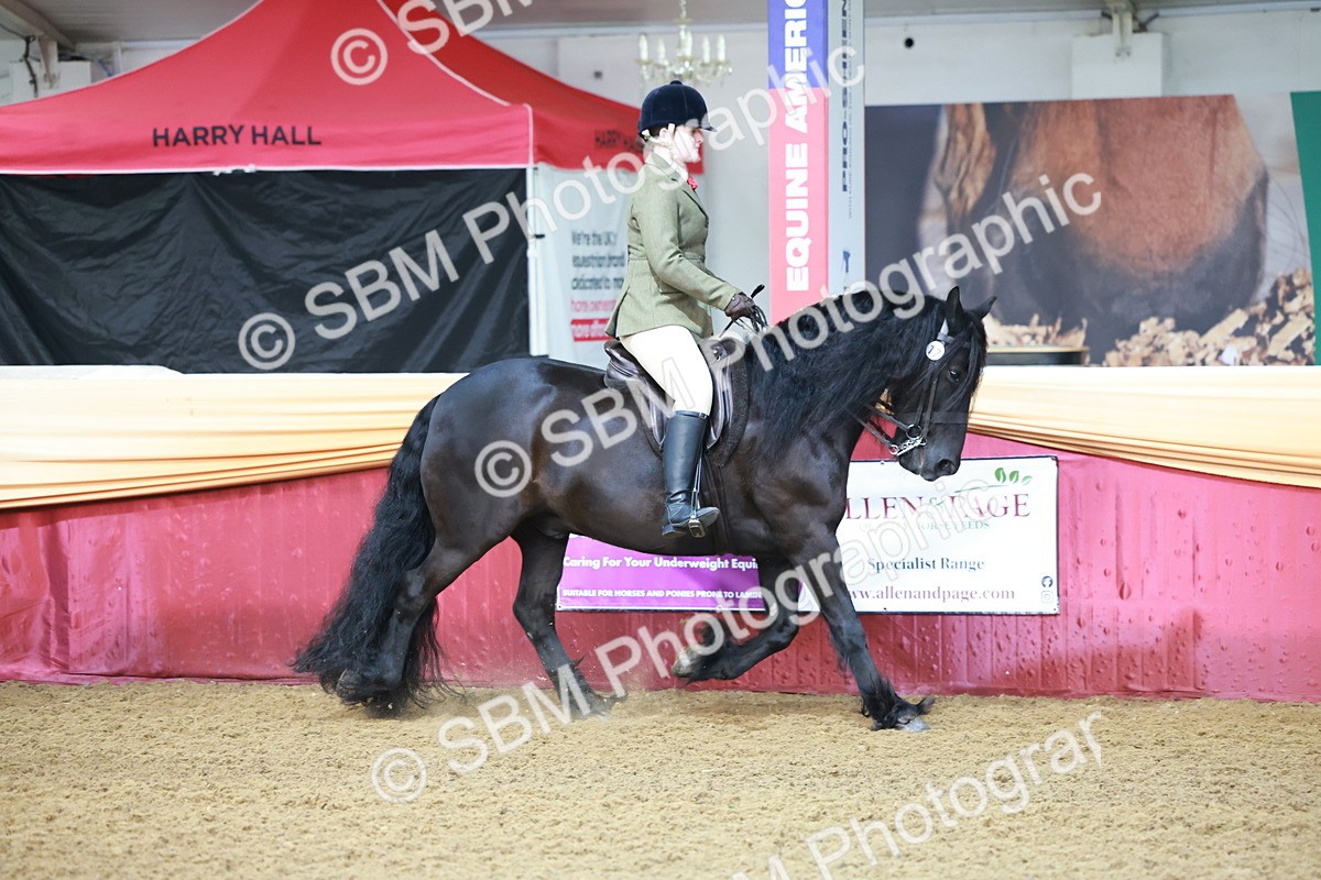 SBM_11799 - Class 102 - Equitation (Best Rider) Adult