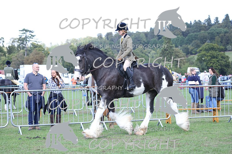 APP_3660 - Class 8 Ridden Class