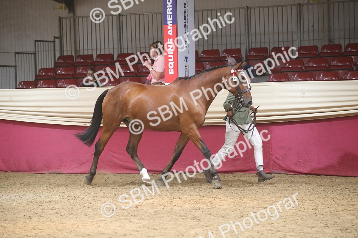 SBM_05503 - Class 9R - Regional IH Pre-Vet