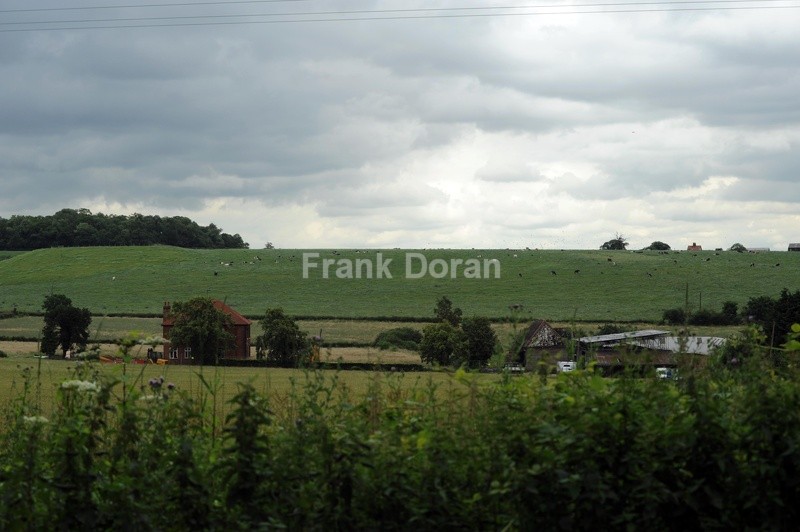 Essex Countryside - Frank Doran