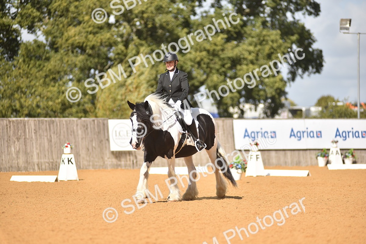 SBM_03382 - D4 - Small Tour Championship Intro 4